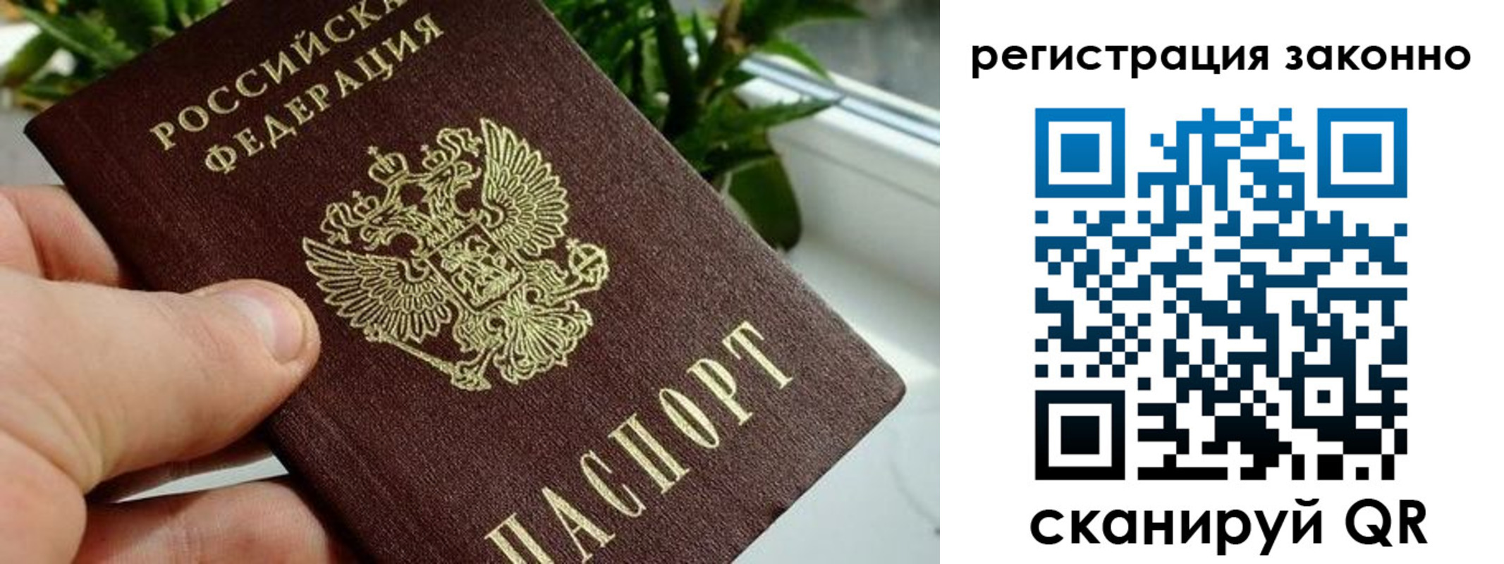 прописка гарантия в Южно-Сухокумске